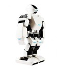 Робот Leju Robot Aelos (AL-EN-E1E)