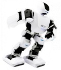 Програмований робот Leju Robot Aelos Pro Version з пультом ДУ 2.4 G (6372877)