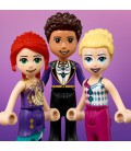 Конструктор LEGO Friends Чарівне колесо огляду та гірка 545 деталей (41689_EU)