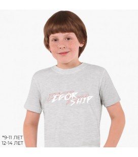 Дитяча футболка для хлопчиків Блогер Єгор Шип (Blogger Egor Ship) (25186-3029-43) 88-104 см Бавовна Сірий