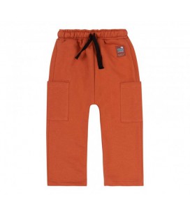Спортивні штани для хлопчика на флісі Бембі ШР687 80 см коричневий