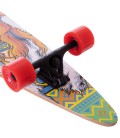 Лонгборд Fish Skateboards 40 Indian Girl (ln124)