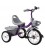 Велосипед 3-х колісний (транспортувальна упаковка) Best trike BS-4298