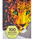 Книга 100 магічних фарбованок. Настрій (Жорж)