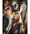 Набір Пазл Clementonі Harry Potter Гаррі Поттер 3 x 1000 шт. (61884)