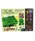 Ігровий навчальний набір для вирощування рослин HFL-01 'Home Florarium'