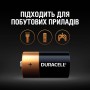 Батарейки алкалиновые Duracell Basic C 1.5V LR14 2 шт (5000394076761)