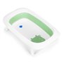 Ванночка для младенцев Ecotoys Care Green (HA-B31 GREEN)