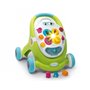 Учебно-игровой центр Smoby Toys Cotoons Цветок со съемной панелью (110428)