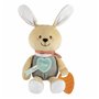 Мягкая игрушка Chicco Зайчонок DouDou для объятий (11467.00)