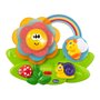 Музыкальная игрушка Chicco Sensory Flower (10156.00)