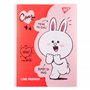 Папка-органайзер Yes Line Friends Cony A4 на липучке (492104)