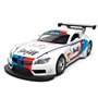 Автомодель TechnoDrive BMW Z4 GT3 белый (250255)