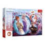 Пазлы Trefl Frozen 2 Приключения сестер 160 деталей (15374)