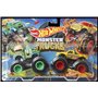 Набор машинок Hot Wheels Monster Trucks Buns of steel vs Fried (FYJ64/HLT64)