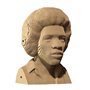 3D пазл Cartonic Jimi Hendrix (CARTMJMH)