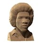 3D пазл Cartonic Jimi Hendrix (CARTMJMH)