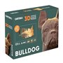 3D пазл Cartonic Bulldog (CARTMBDG)