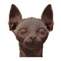 3D пазл Cartonic Sphynx cat (CARTSPHY)