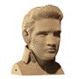 3D пазл Cartonic Elvis (CARTMELV)