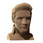 3D пазл Cartonic Elvis (CARTMELV)