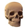 3D пазл Cartonic Skull (CARTSKUL)