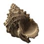 3D пазл Cartonic Shell (CARTSHELL)