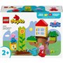 Конструктор LEGO DUPLO Сад и домик на дереве Пеппы (10431)