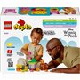 Конструктор LEGO DUPLO Disney День рождения Винни Пуха (10457)