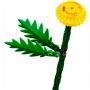 Конструктор LEGO Botanicals Полевые цветы (30701)