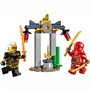 Конструктор LEGO NINJAGO Битва за Храм Кая и Раптона (30650)