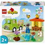 Конструктор LEGO DUPLO Town Уход за пчелами и ульями (10419)