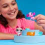 Игровой набор Littlest Pet Shop Удивительные дивы (00527)