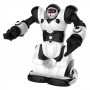 Интерактивная игрушка Робот Mini RC Robosapien WowWee (W3885)