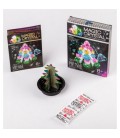 Набір для проведення дослідів «Magic Crystal» OMC-01-01 Danko Toys (OMC-01-01)