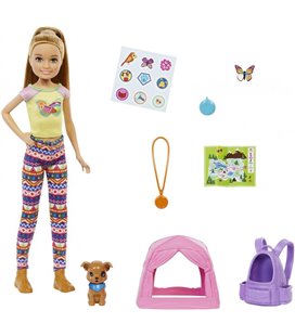Лялька Барбі Стейсі Кемпінг Barbie It Takes Two Camping Playset with Stacie Doll (HDF70)