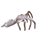 М'яка іграшка Alien Facehugger Чужий Ліцехват 80см 01AL